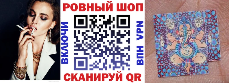 МЕФ Тотьма