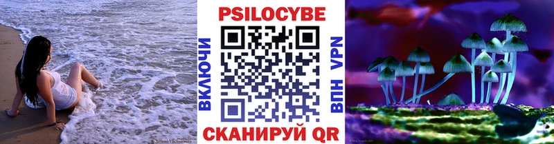 где найти   omg онион  Псилоцибиновые грибы Psilocybe  Тотьма 